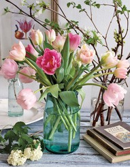 Tulips for inspiration...