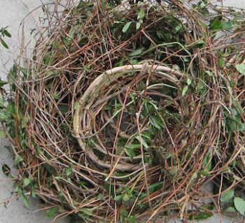 How to make a wreath honeysuckle vines