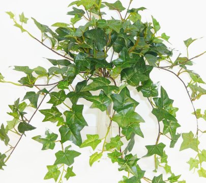 artificial-ivy